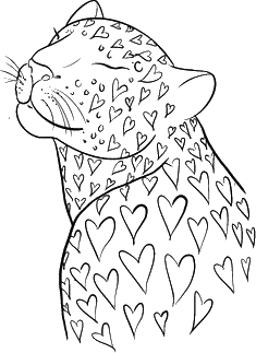 leopard